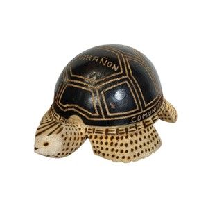 Native Peruvian Drift Wood Pyrograph Hand Carved Turtle Seed Rattler Rio Maranon